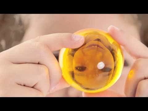 Perception Semispheres Pack of 8