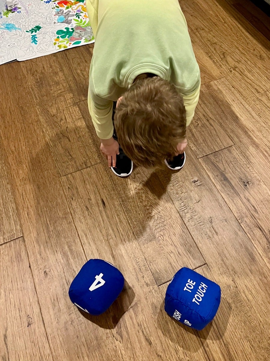 Fitness Dice Pair