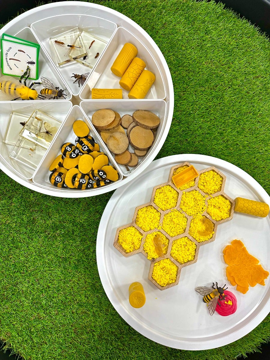 Lets Roll Garden Bugs