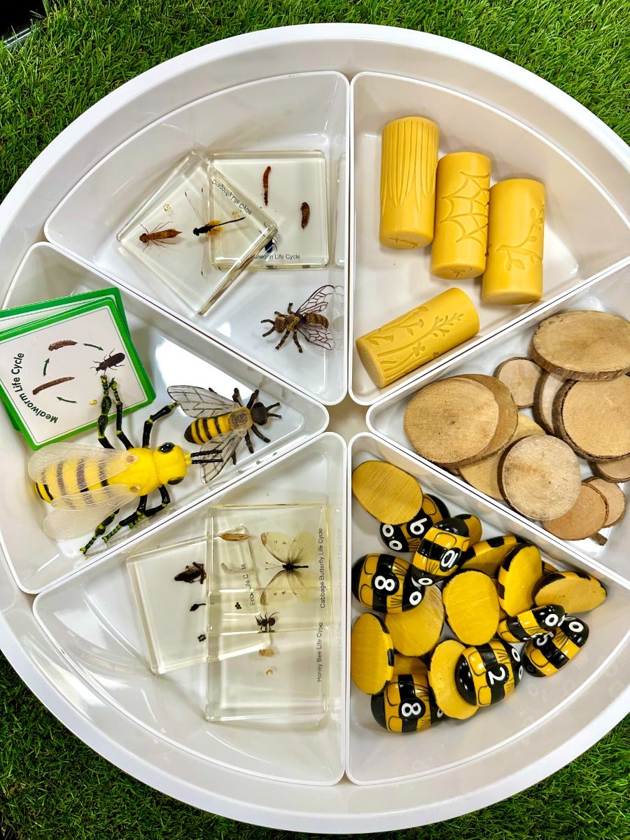 Honey Bee Number Stones