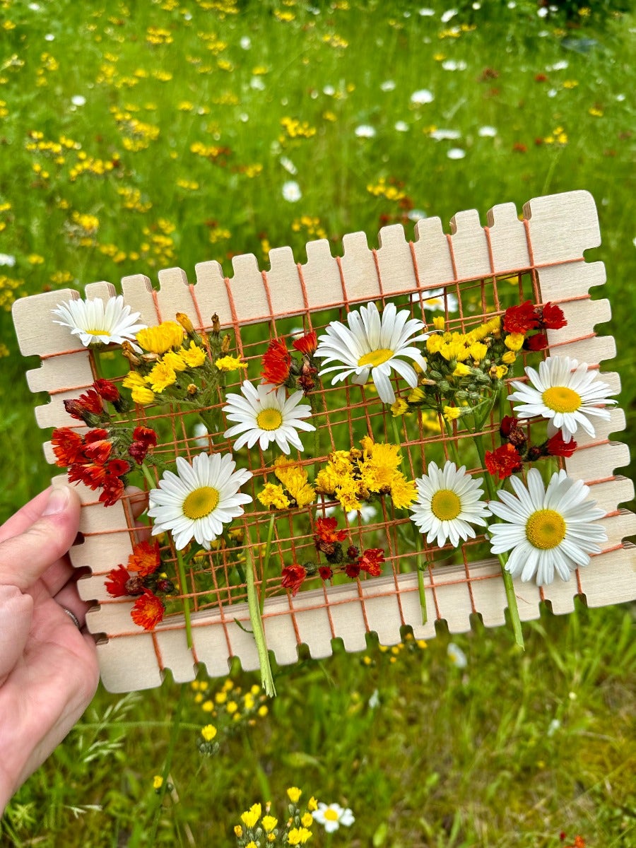 Natural Weaving Frames