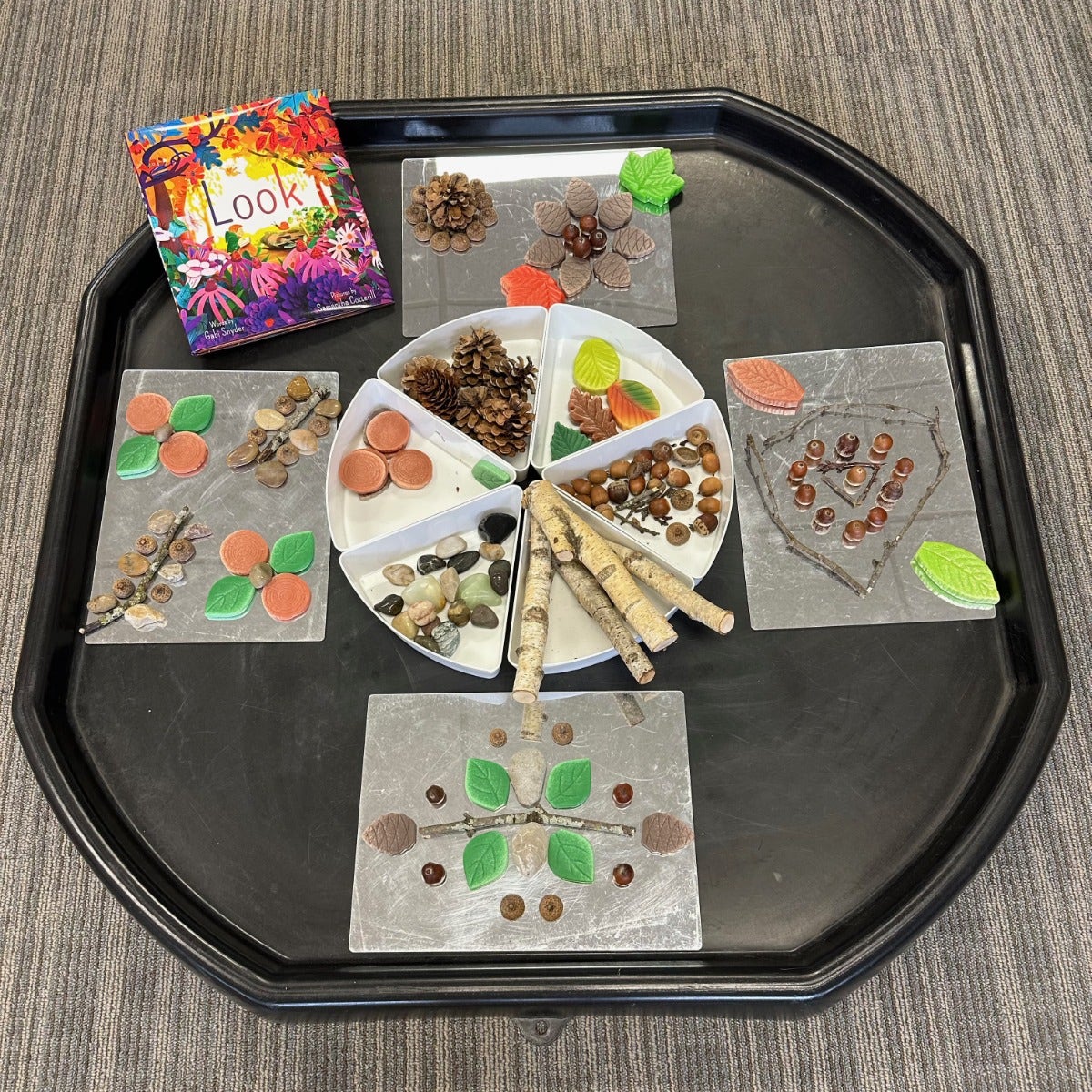 Acrylic Mirror Trays Set of 6