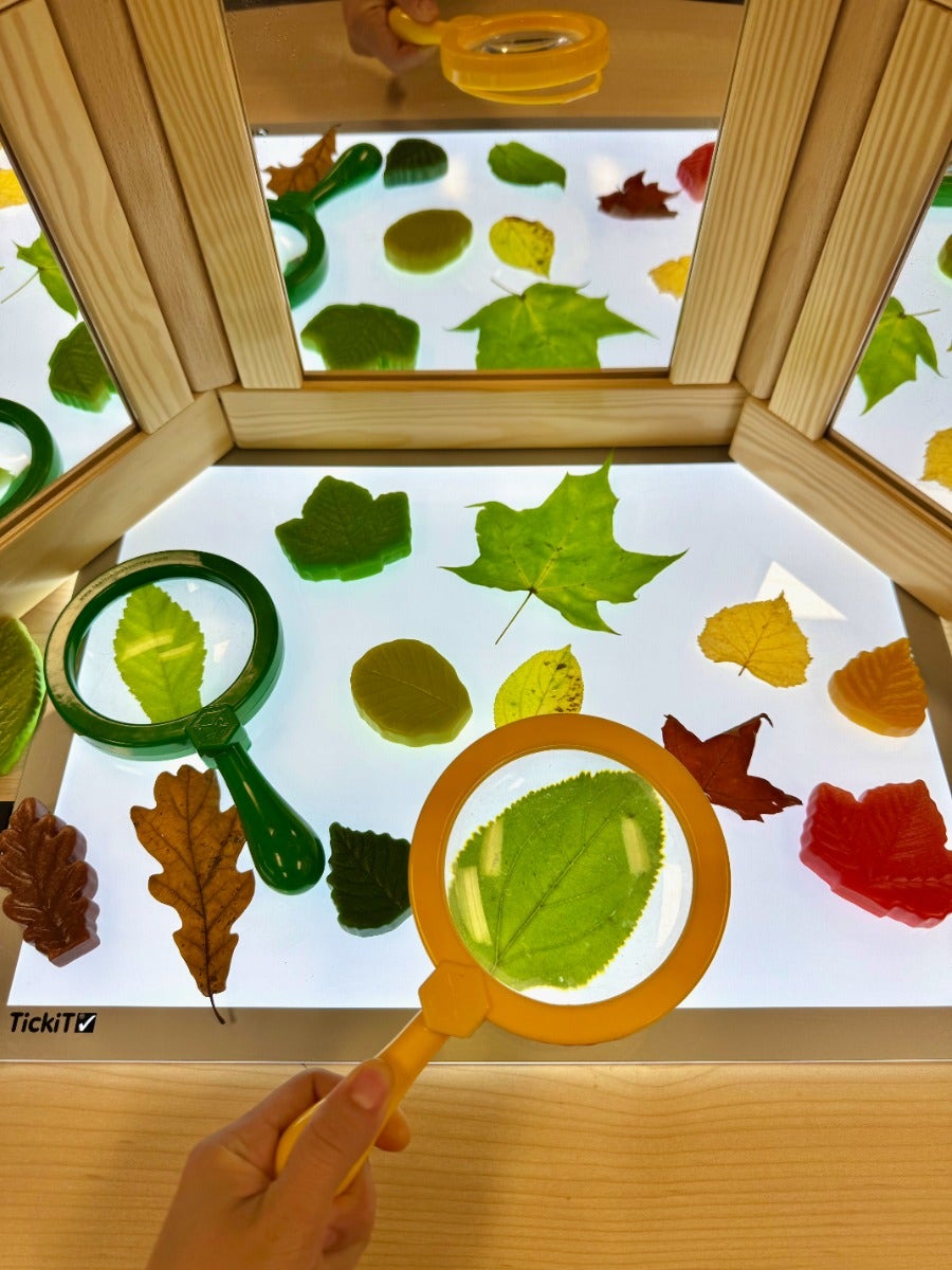 Sensory Play Stones Leaves