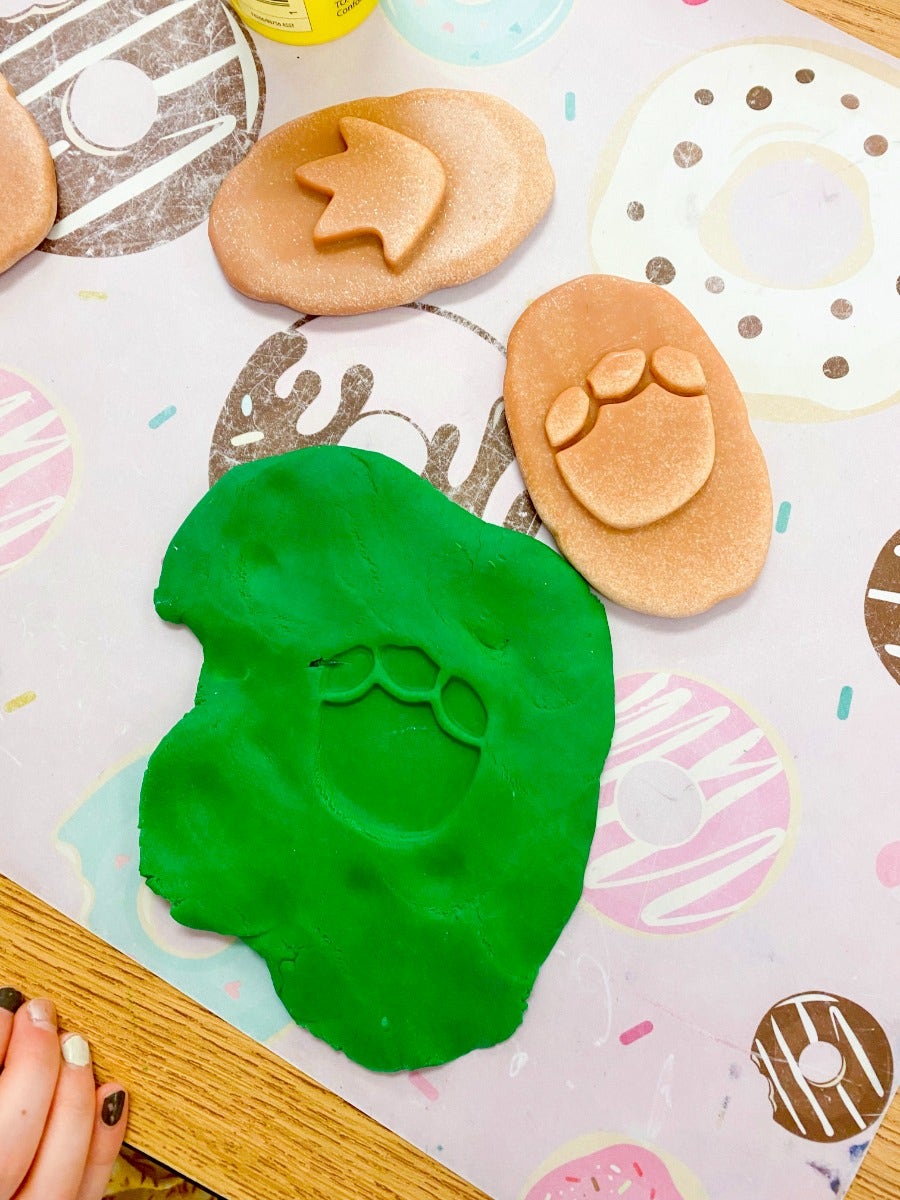 Lets Investigate Dinosaur Footprints Stones