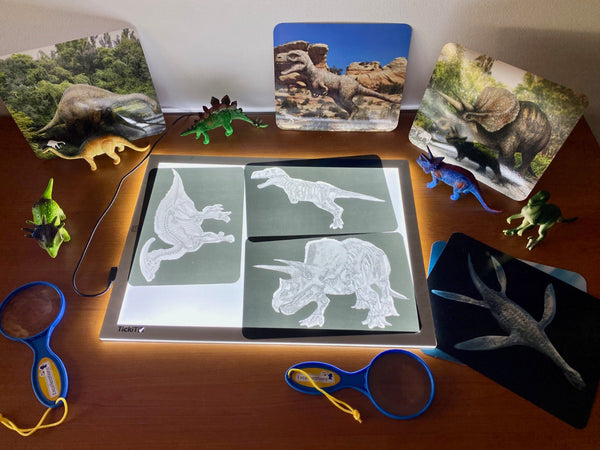 Discover Dinosaurs Picture Cards and X-rays