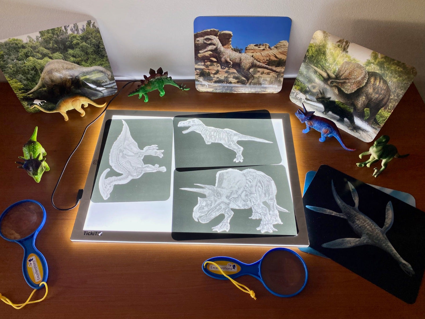 Dinosaurs Playset