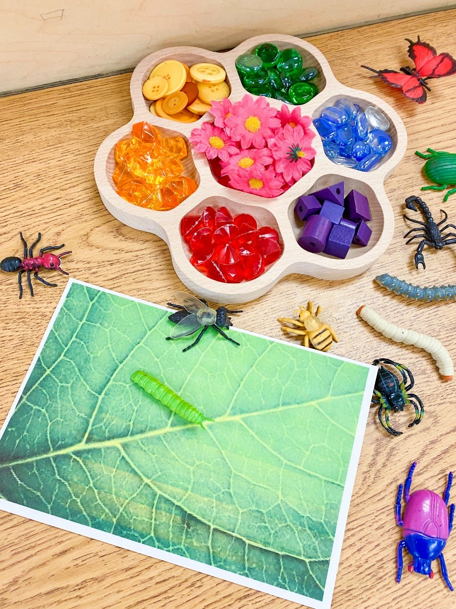 Natural Flower Tray 6 sections