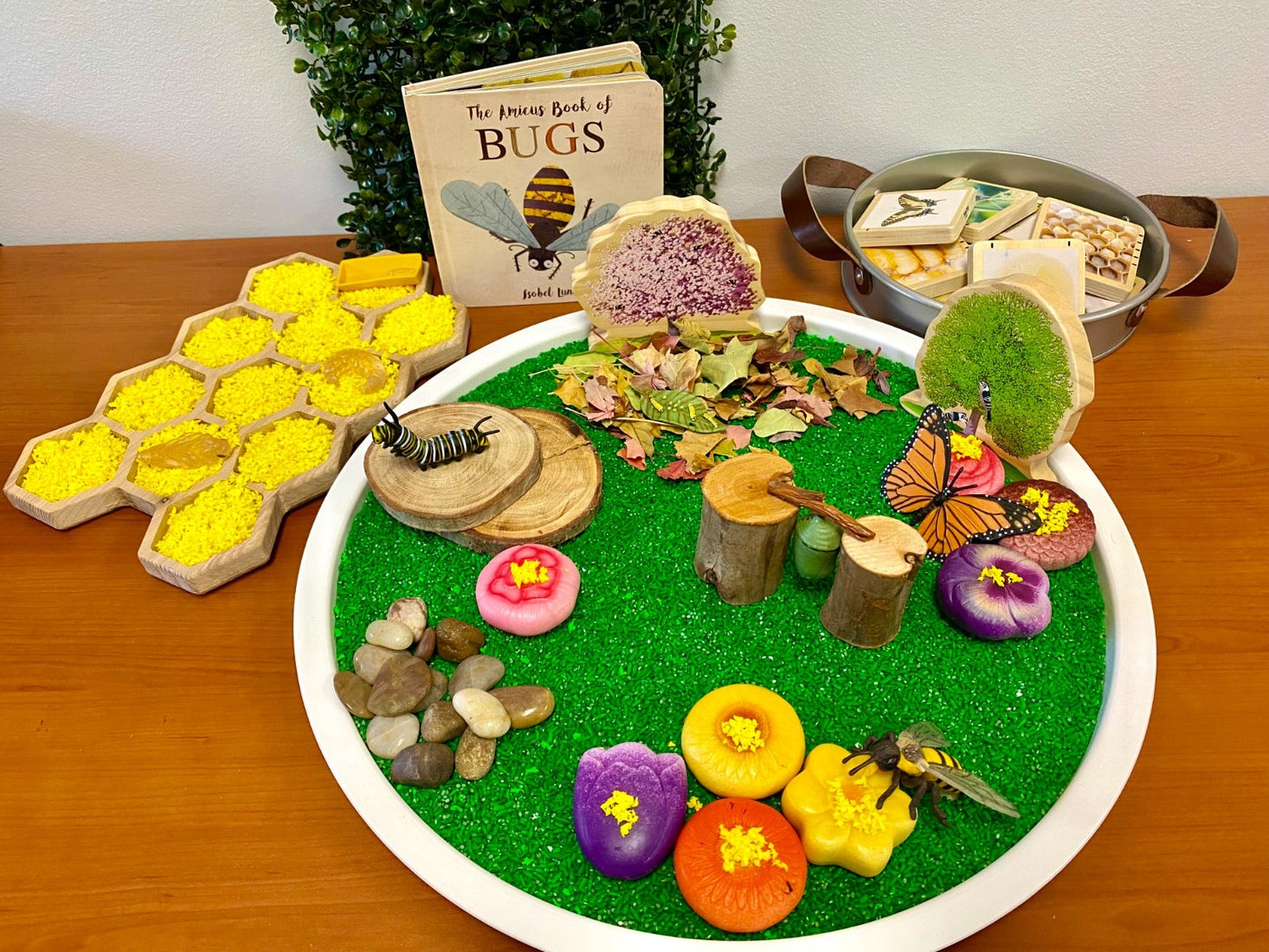 Life Cycle of a Honey Bee