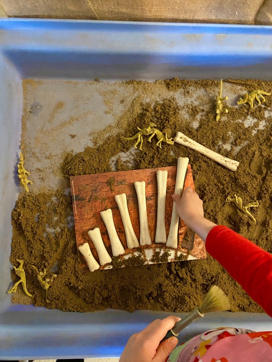 Dinosaur Bones Activity Cards
