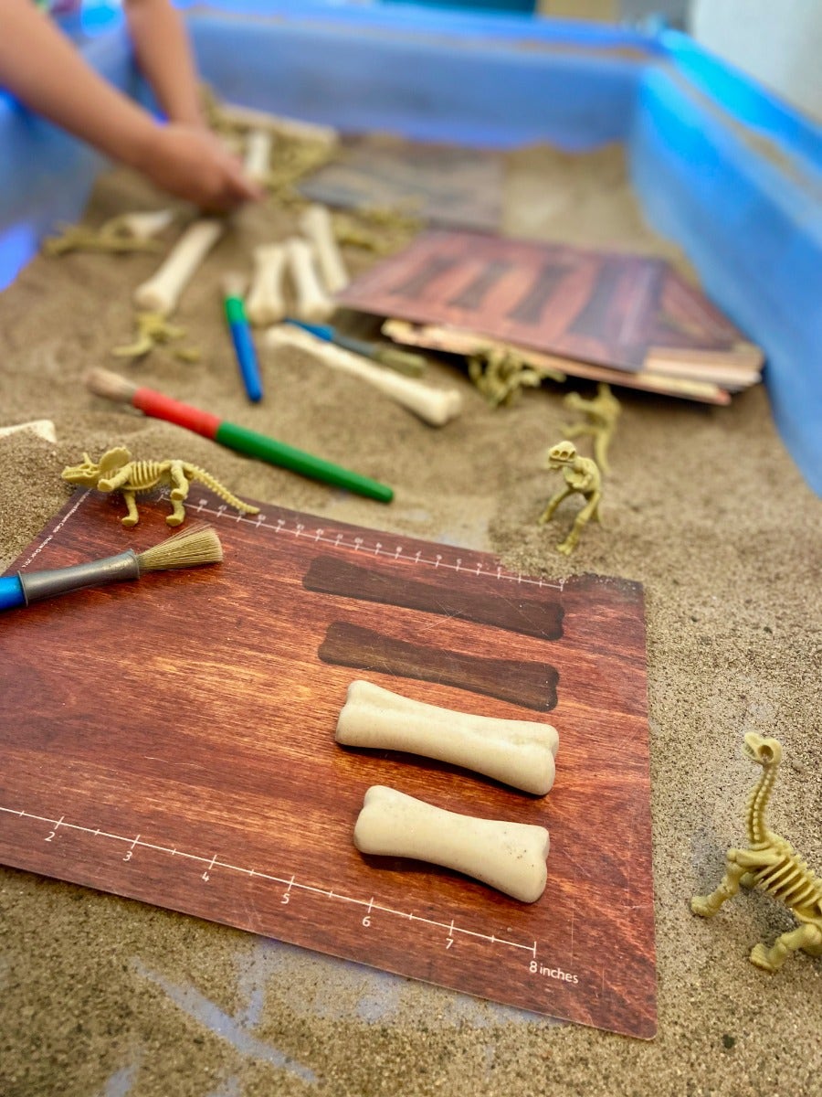 Dinosaur Bones Activity Cards