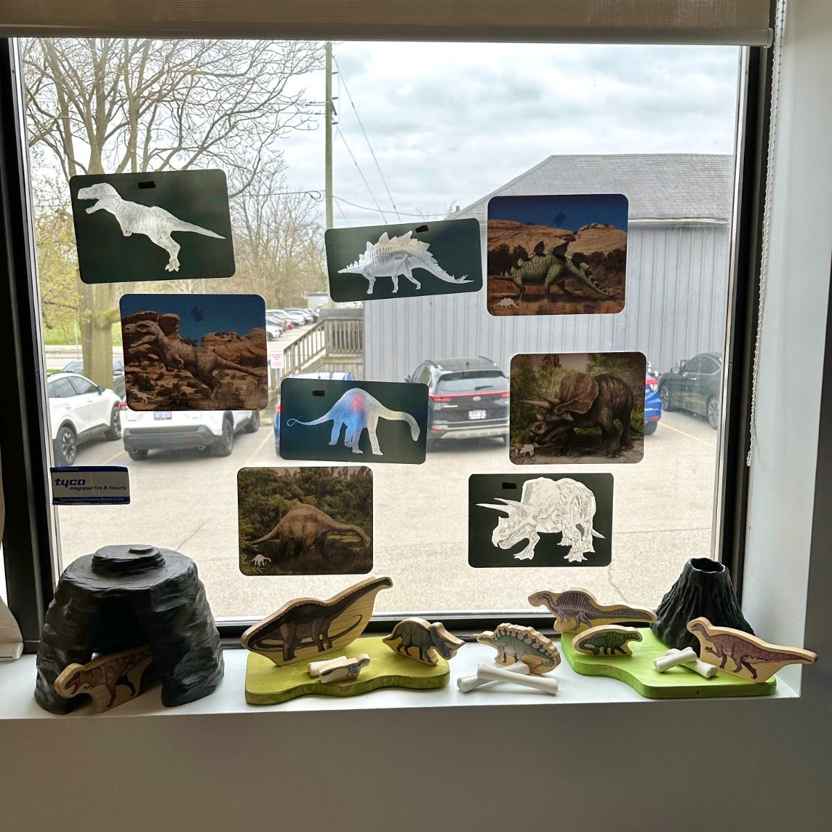 Discover Dinosaurs Picture Cards and X-rays