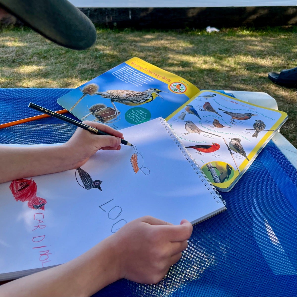 Backpack Explorer Bird Watch