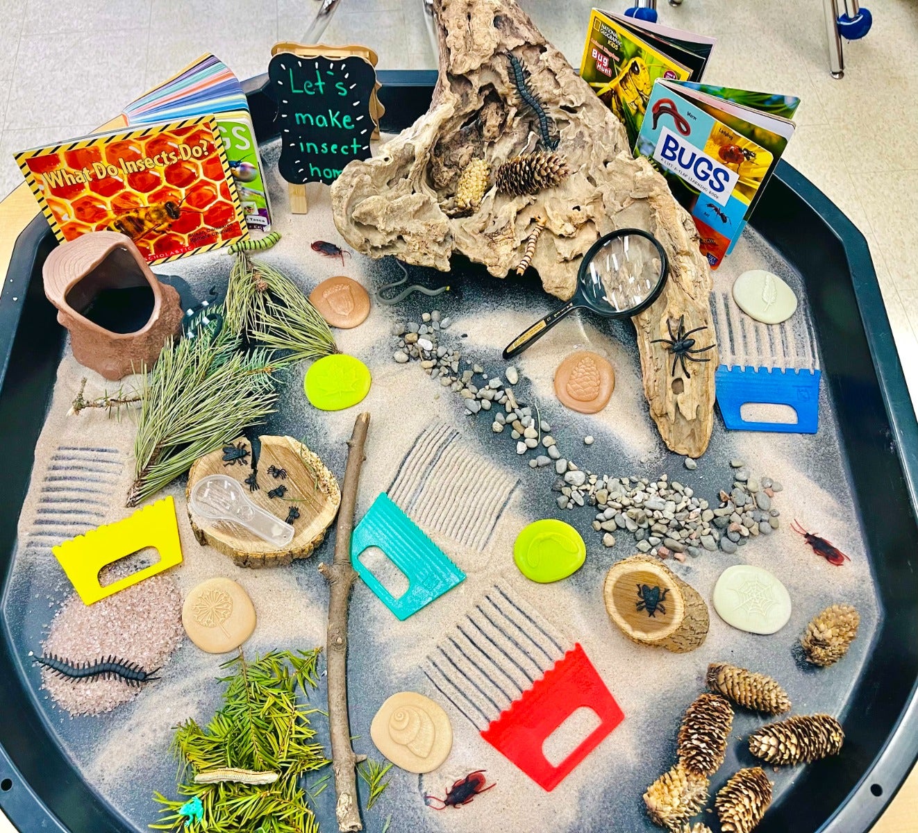 Lets Investigate Nature