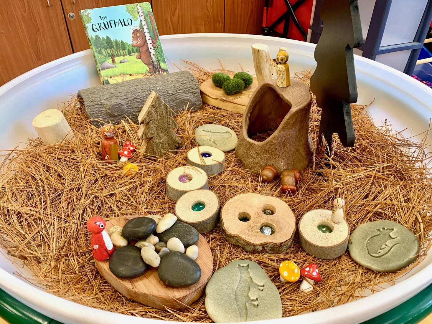 Lets Investigate Woodland Footprints