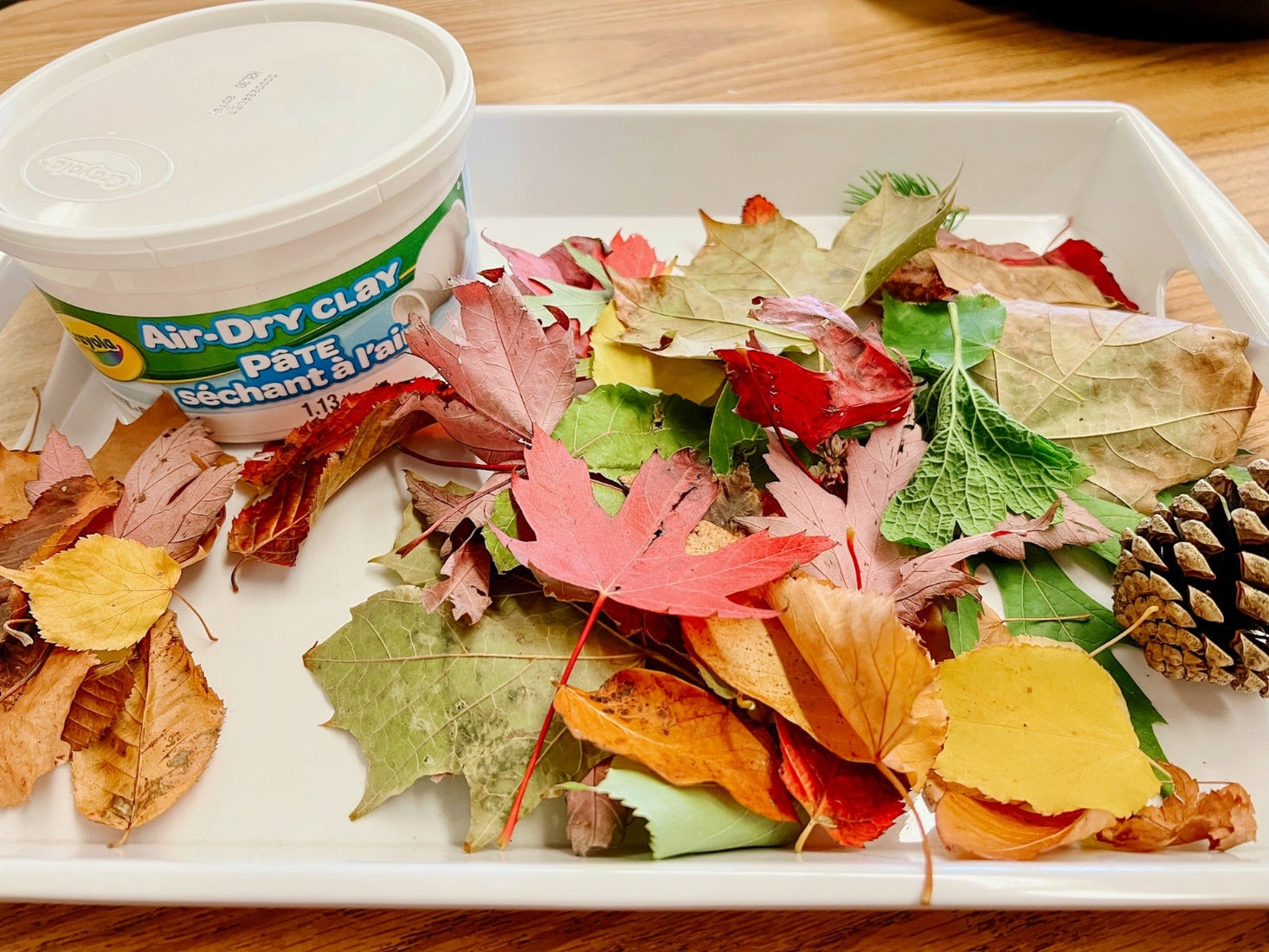 Crayola Air Dry Clay White 2.5 lb