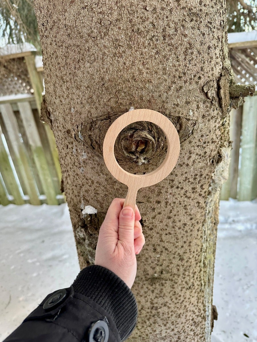 Natural Shape Viewers