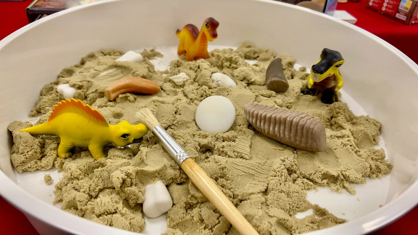 Dinosaur Bones Discovery Set