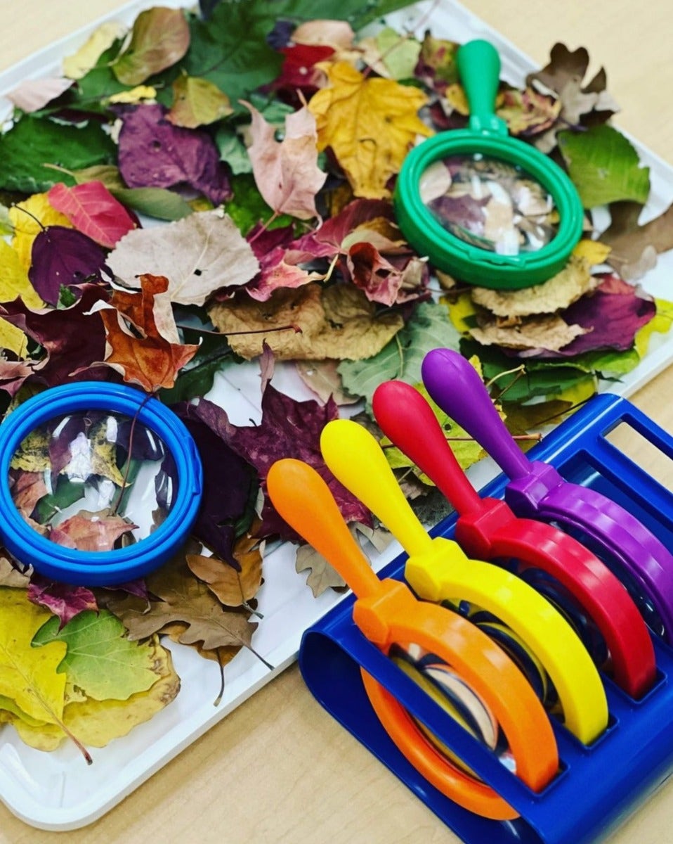 Jumbo Magnifier 6 pieces