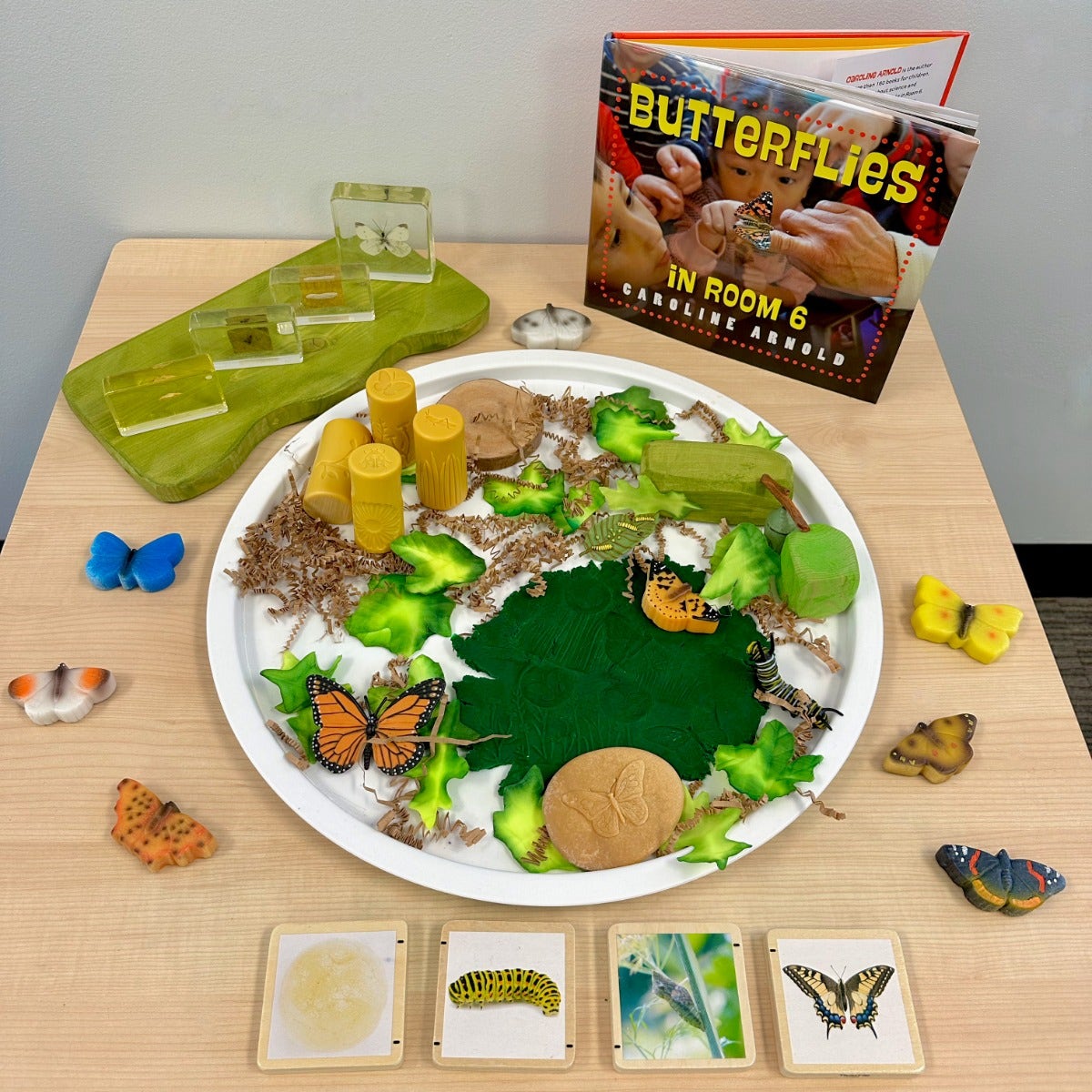 Life Cycle of a Monarch Butterfly