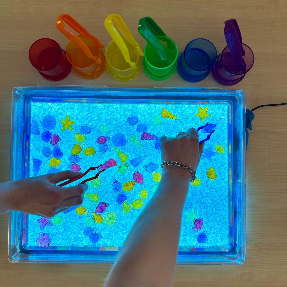 Translucent Colour Fish