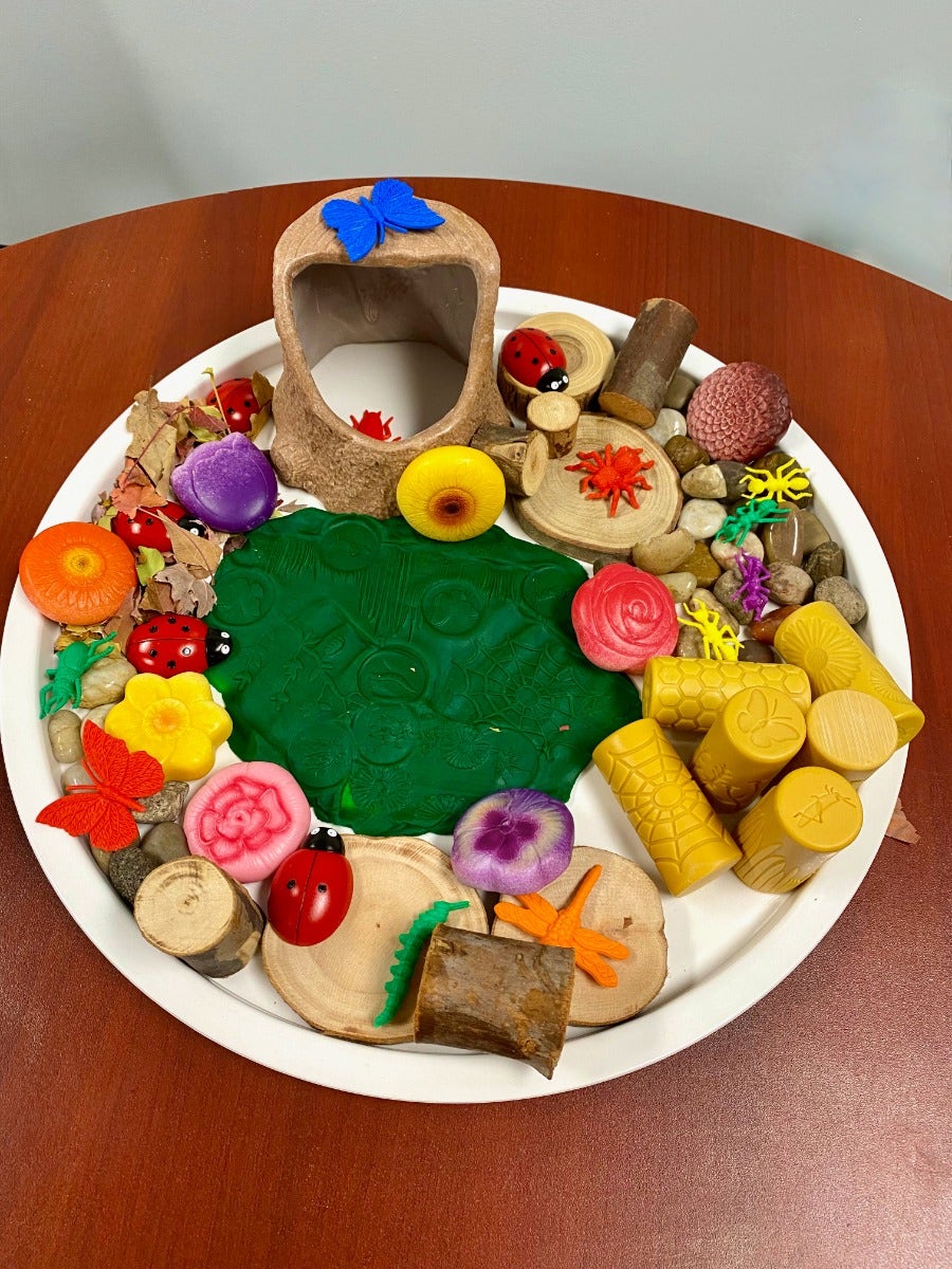 Lets Roll Garden Bugs