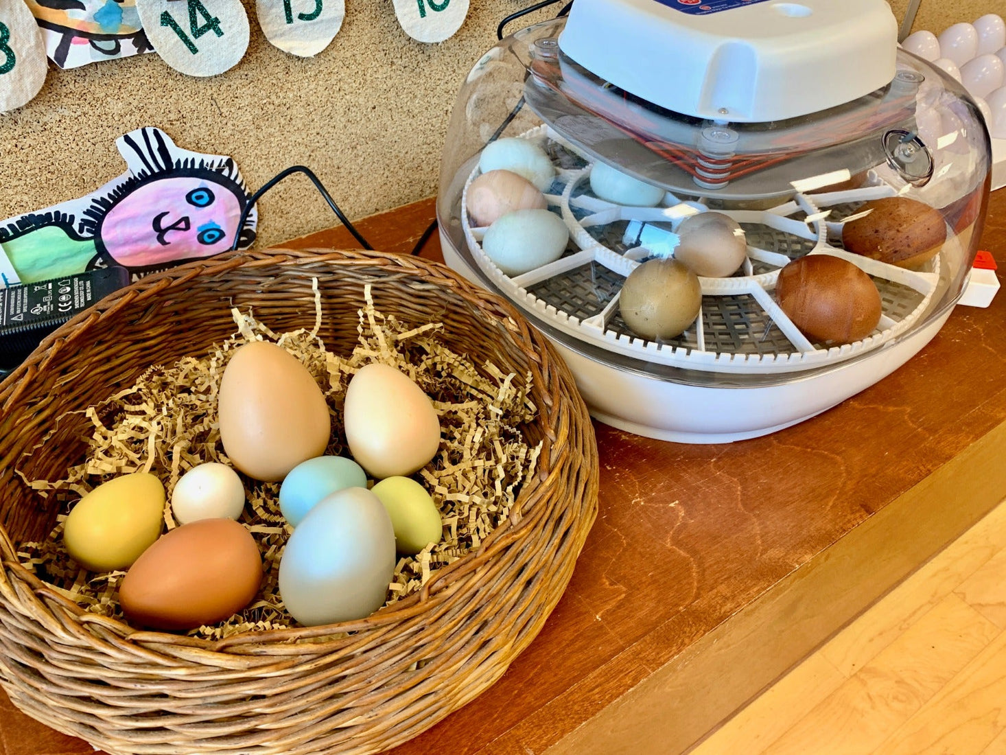 Size-Sorting Eggs Set of 8