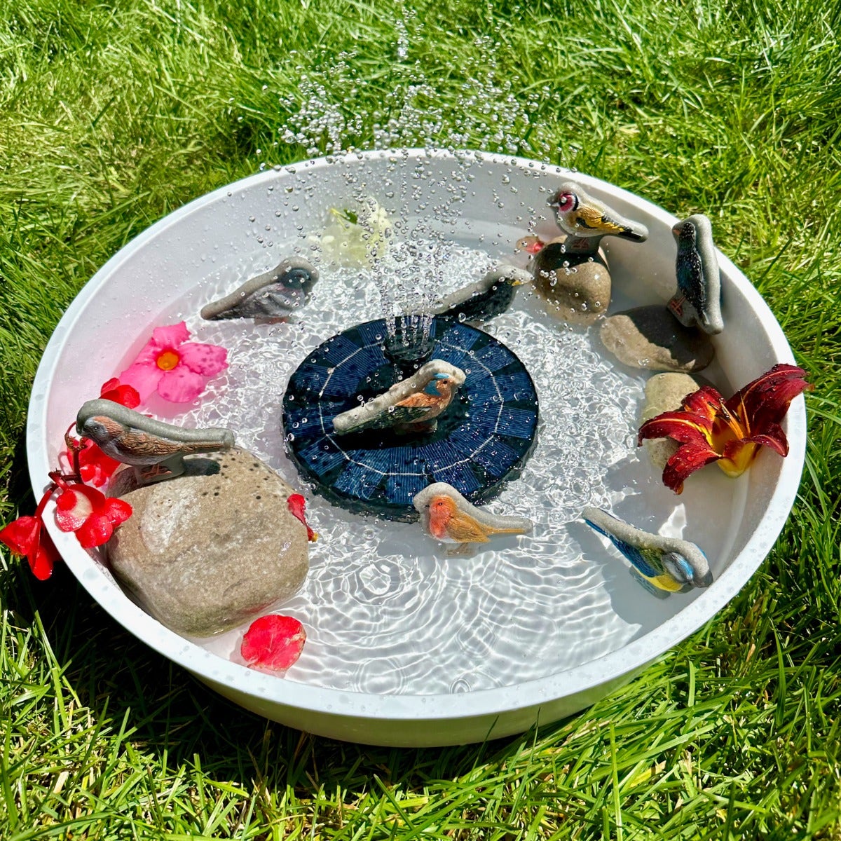 Sensory Play Stones Birds