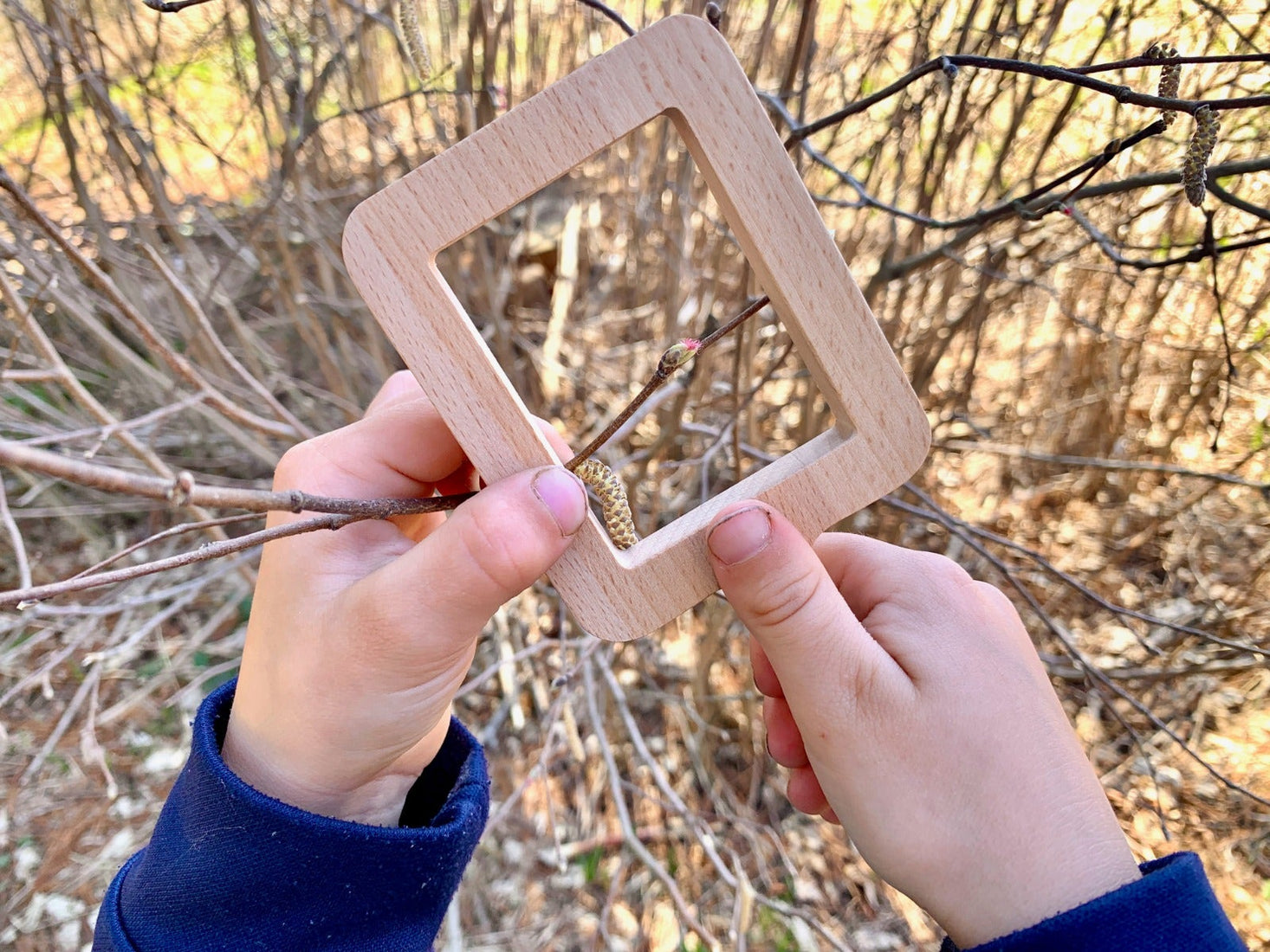 Natural Shape Viewers