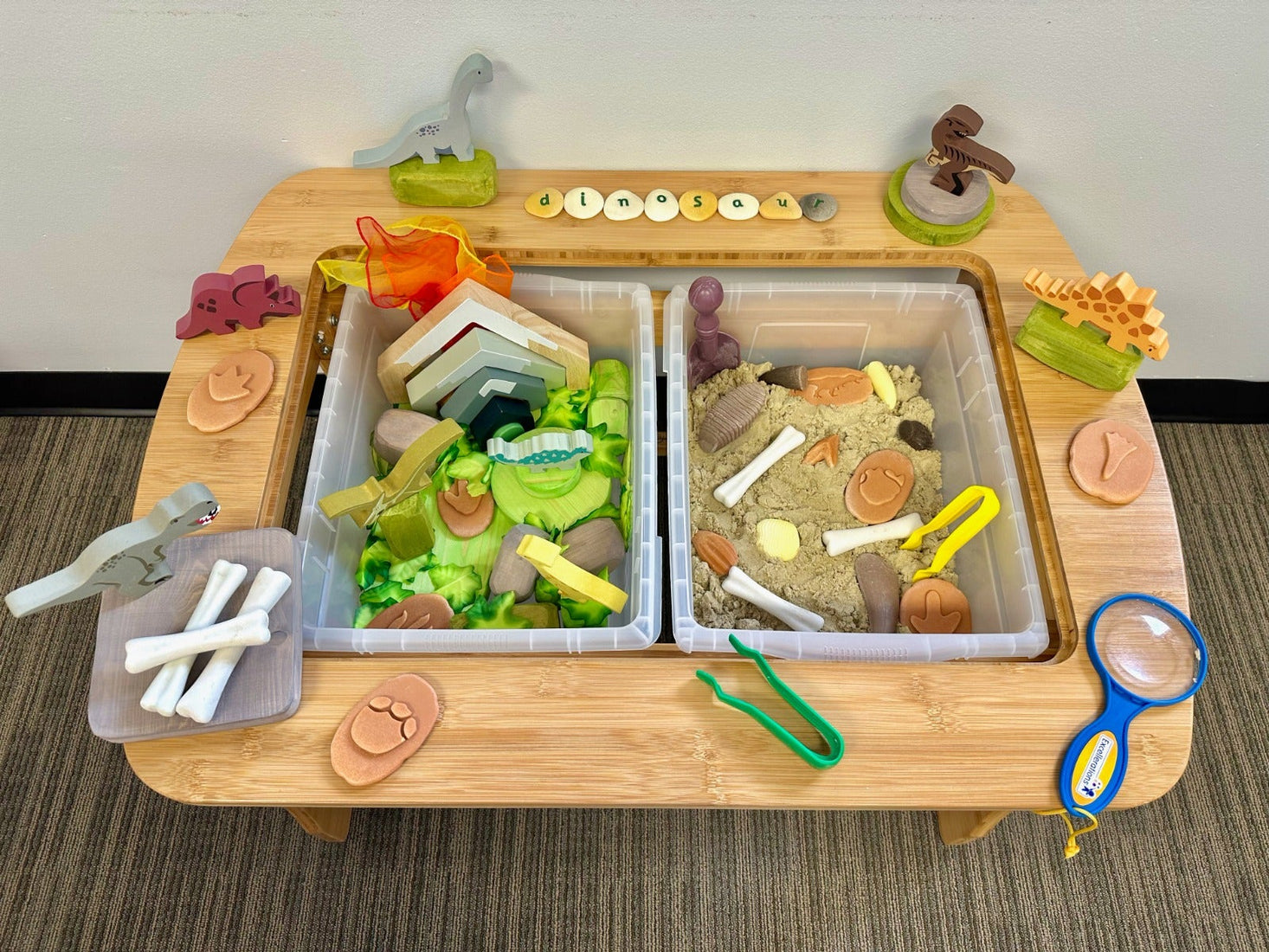 Lets Investigate Prehistoric Teeth