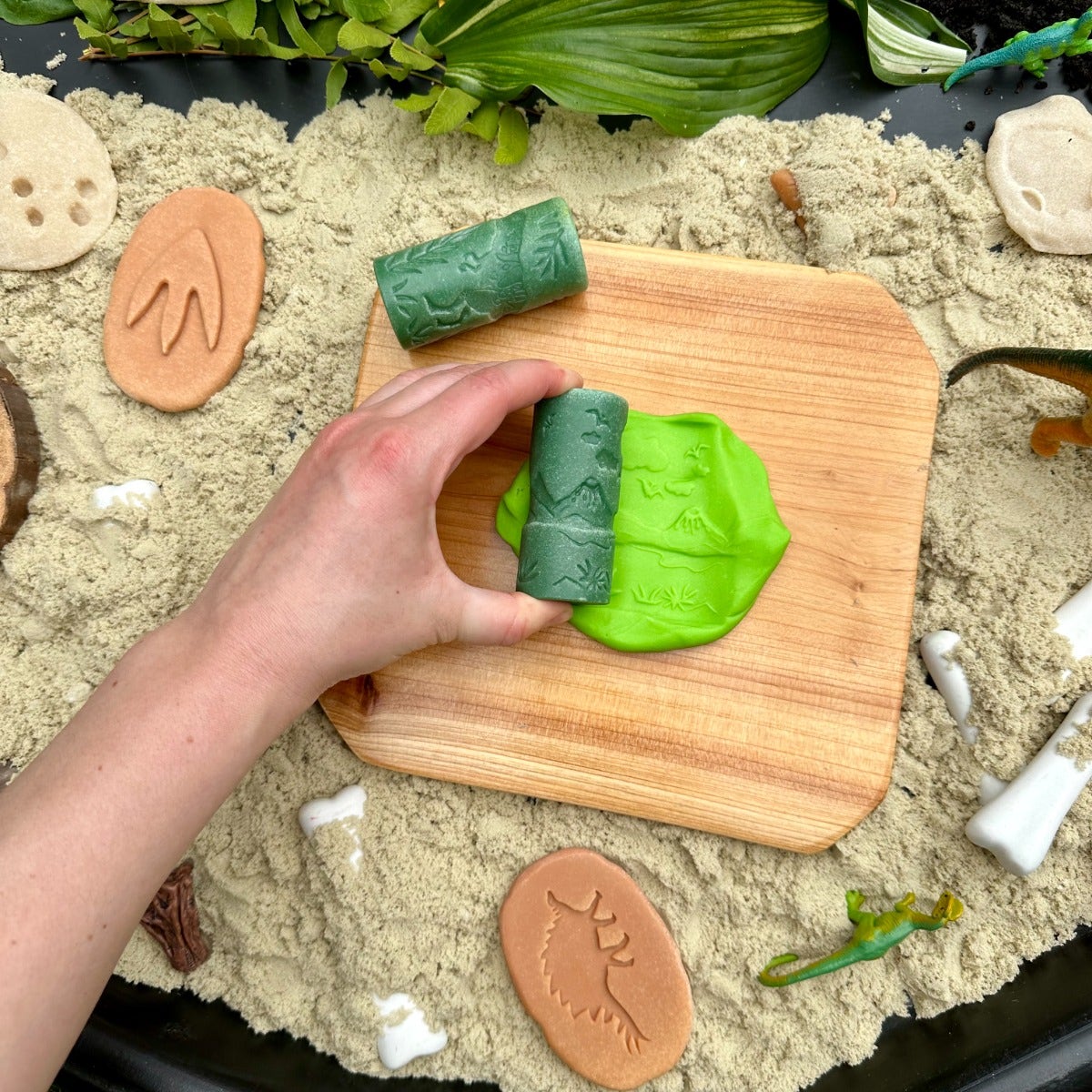 Lets Roll Dinosaurs