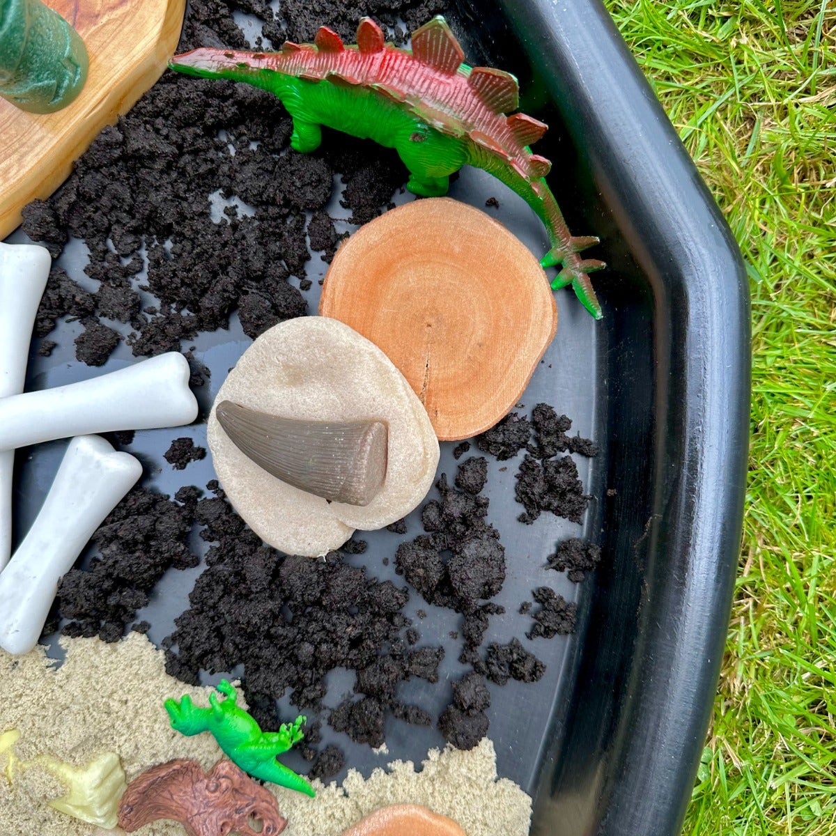 Lets Investigate Prehistoric Teeth