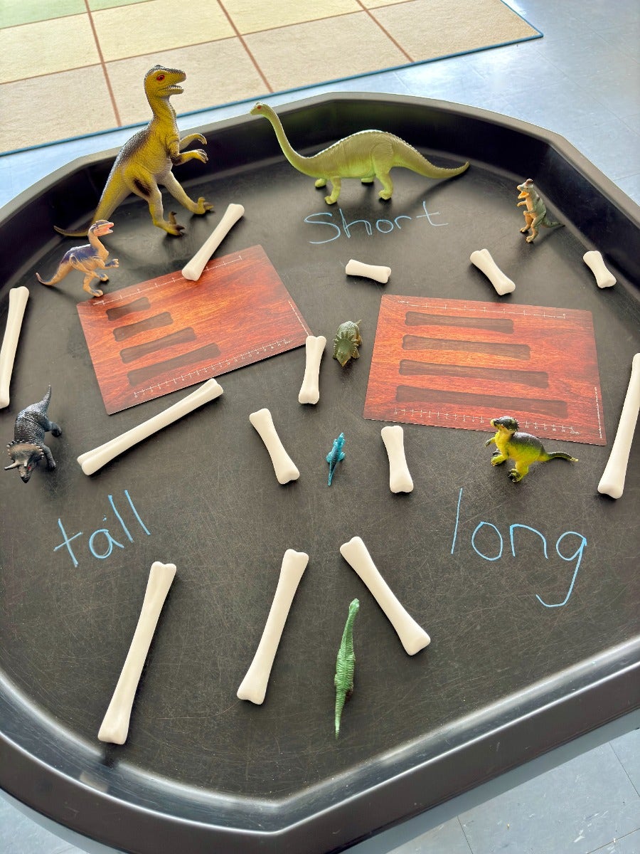 Dinosaur Bones Activity Cards