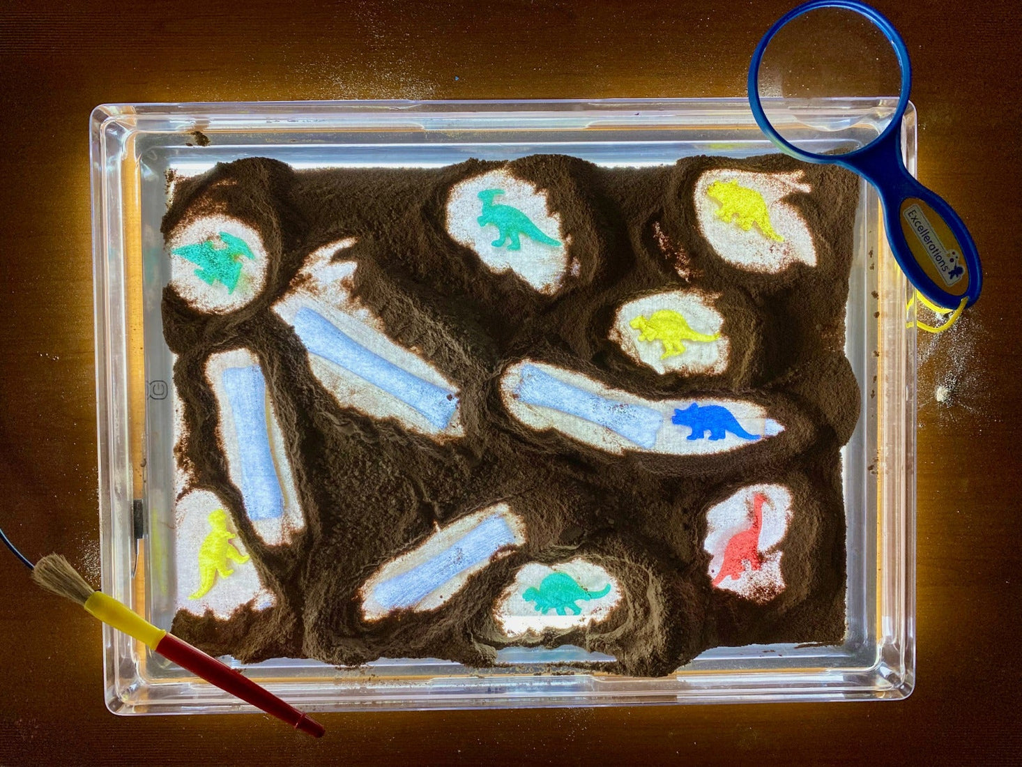 Dinosaur Bones Discovery Set