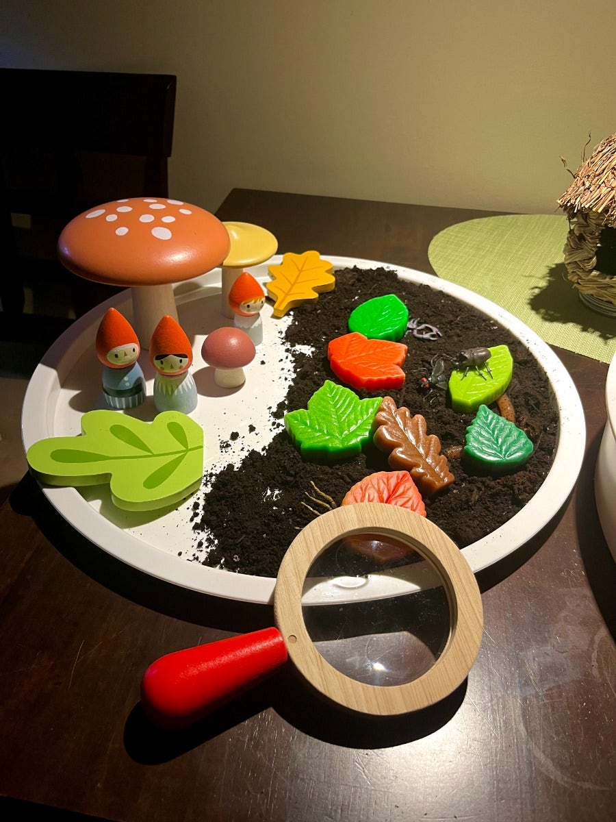 Sensory Play Stones Leaves