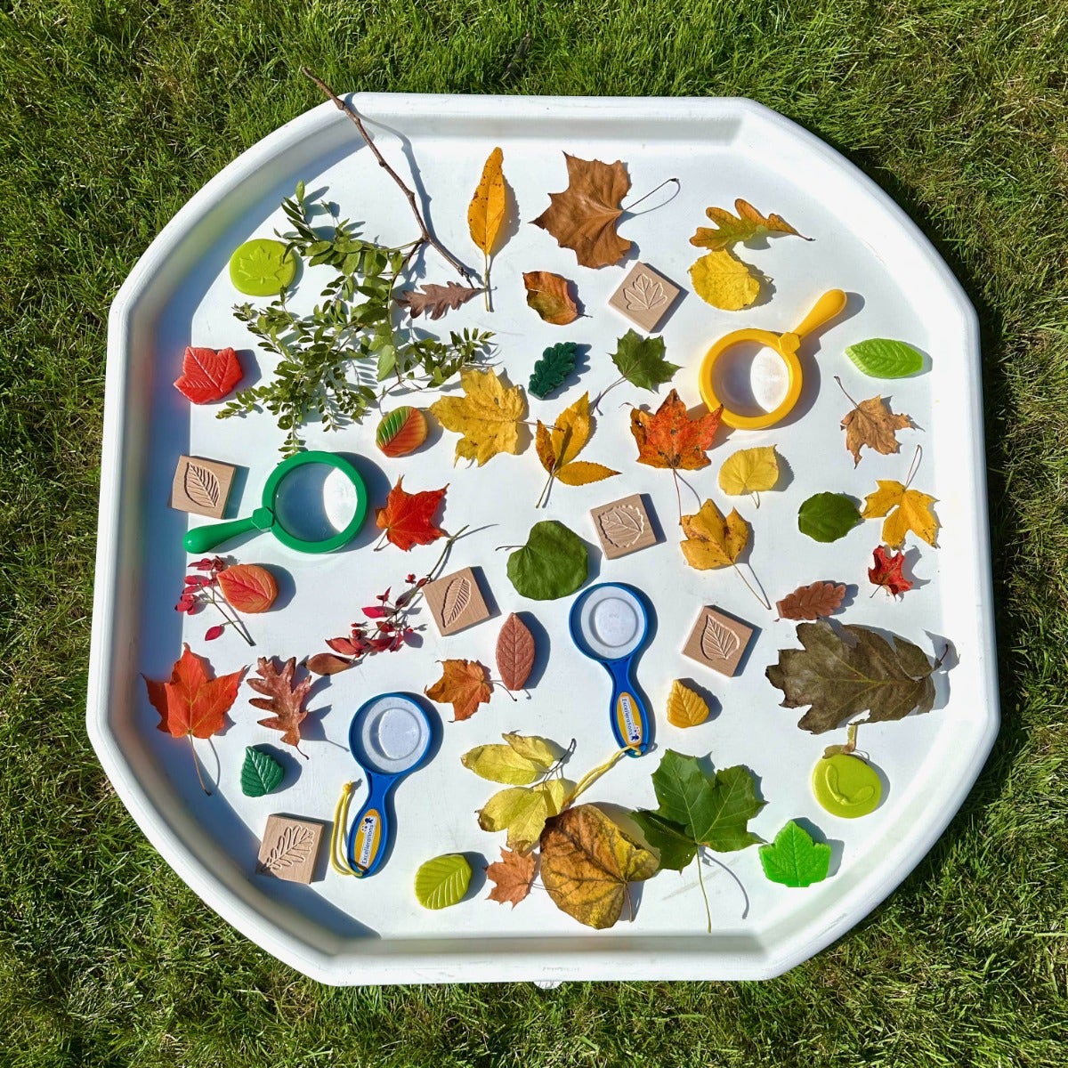 Match Me Sensory Leaf Tiles