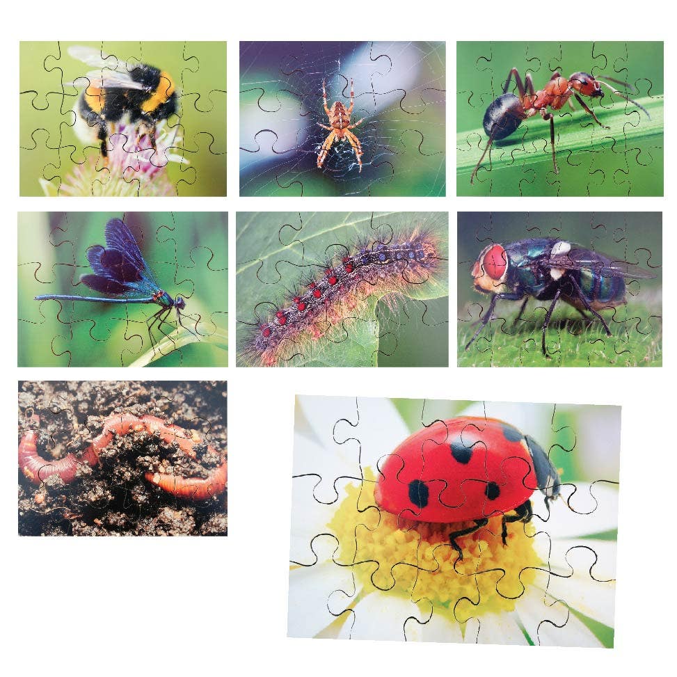 Insects Set of 8 Wooden Puzzles