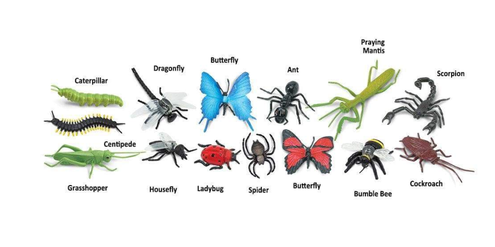 Insects Toob