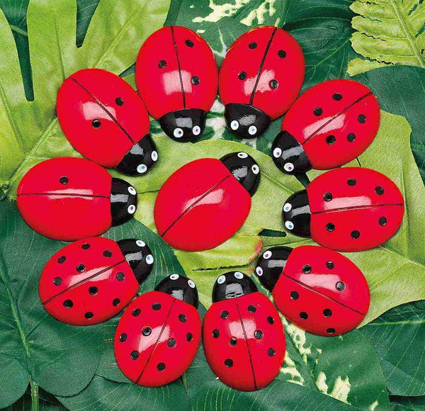 Ladybugs Counting Collection