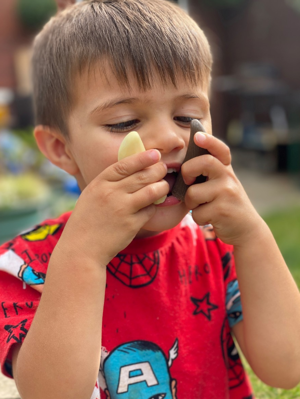 Lets Investigate Prehistoric Teeth