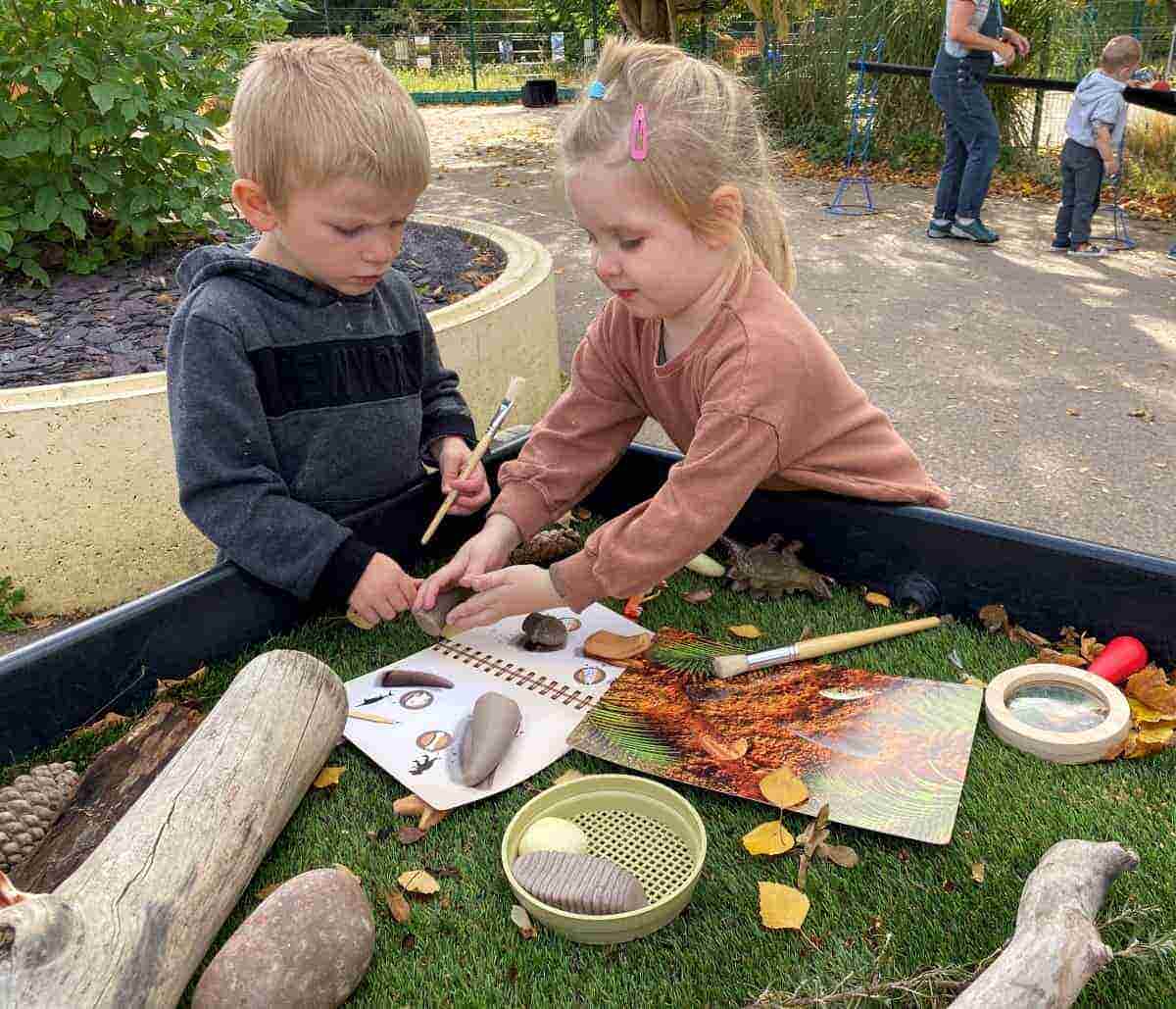 Let's Investigate Prehistoric Teeth Collection
