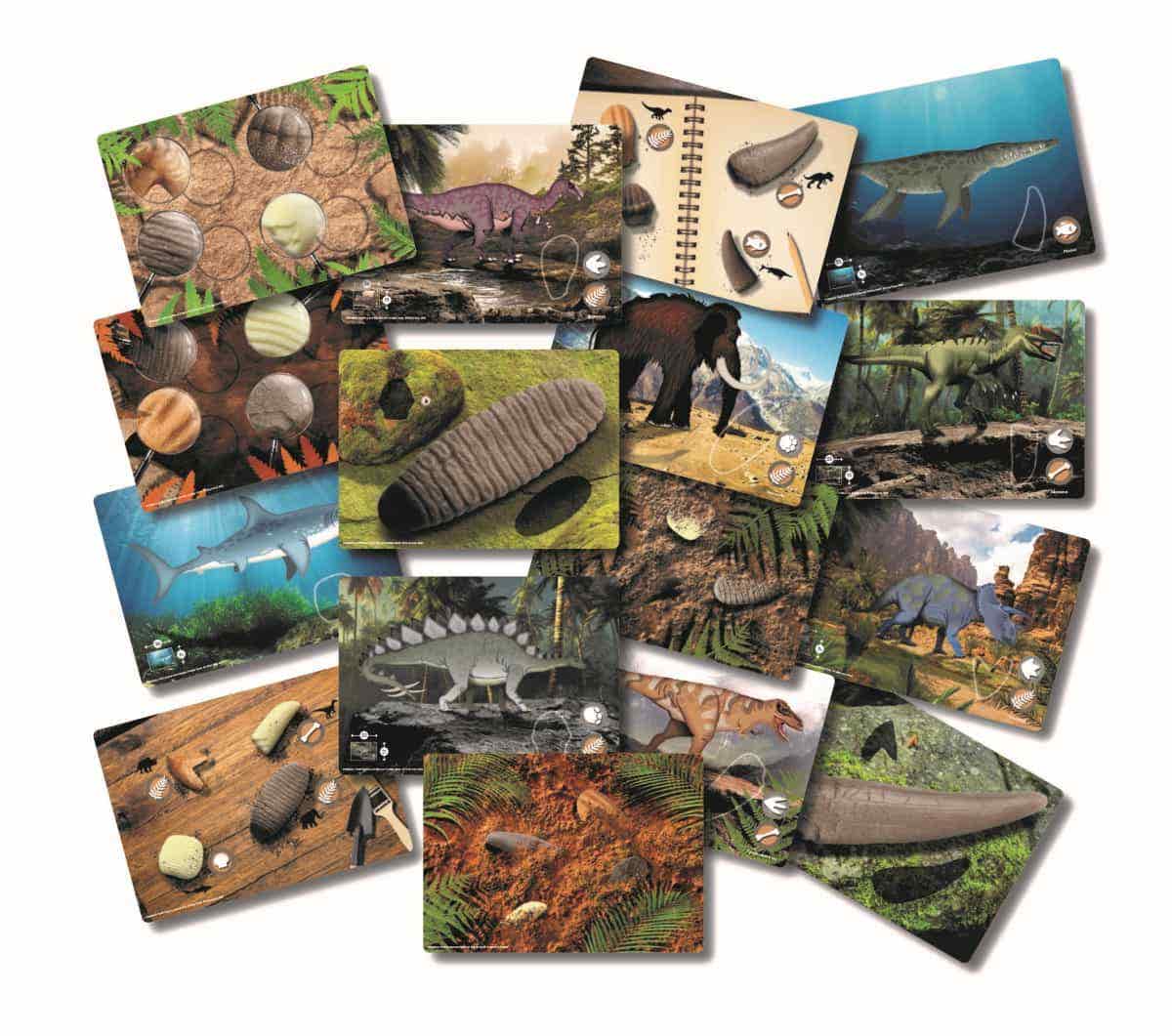 Let's Investigate Prehistoric Teeth Collection