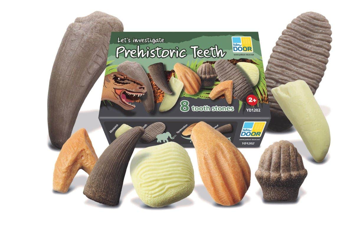 Let's Investigate Prehistoric Teeth Collection