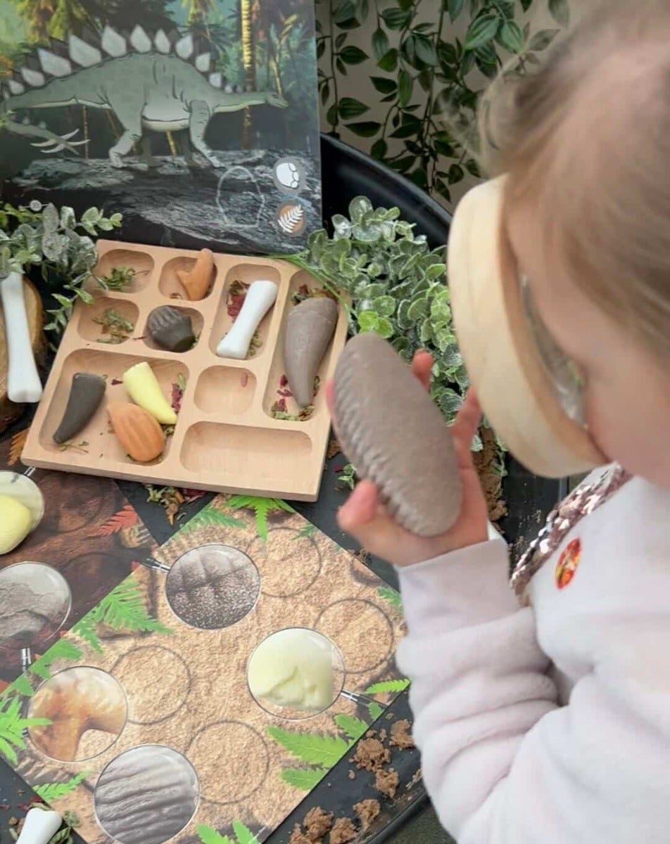 Let's Investigate Prehistoric Teeth Collection