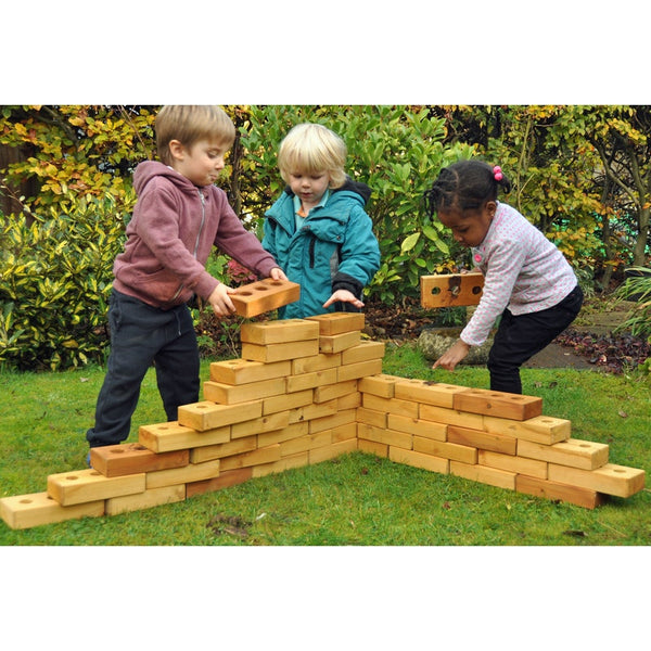 Lewiss Lightweight Softwood Bricks 30 pack