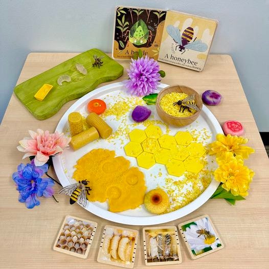 Life Cycle of a Bee Investigation Collection