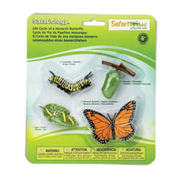 Life Cycle of a Monarch Butterfly