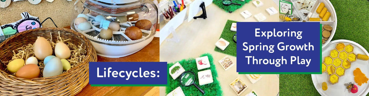Lifecycles: Exploring Spring Growth Through Play