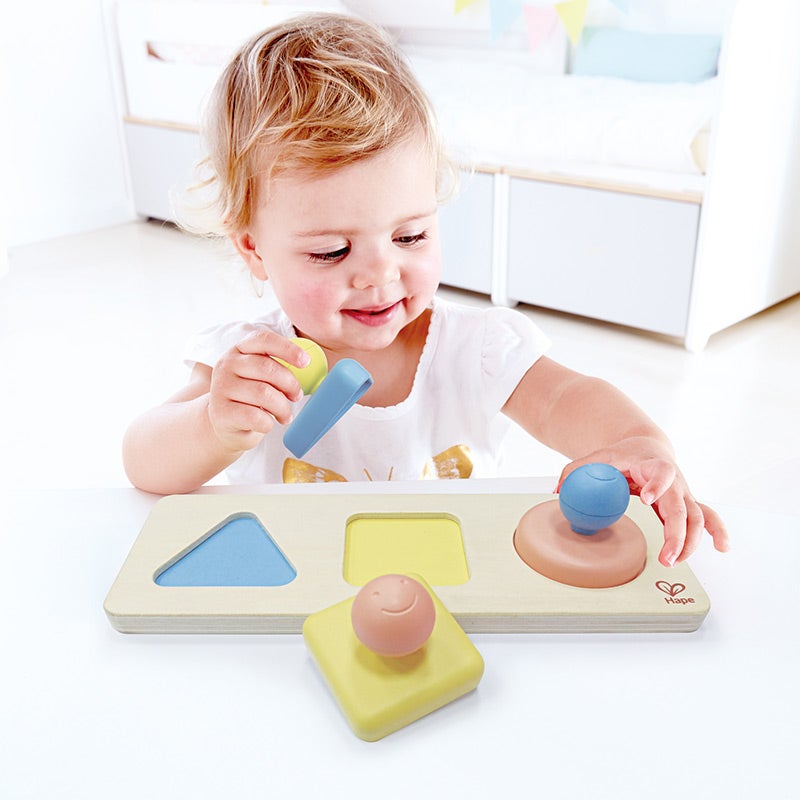 Montessori Multiple Shape Puzzle