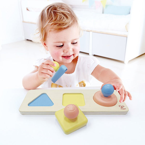Montessori Multiple Shape Puzzle