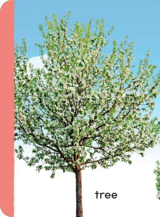 My First Seasons Library 4-Book Boxed Set